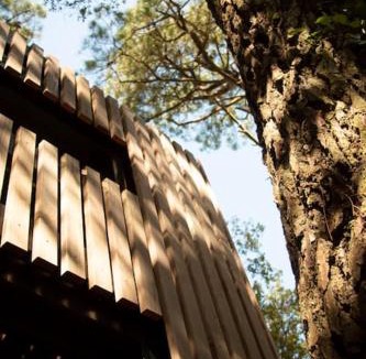 Saint-Brevin-les-Pins House | Vaimiti, cabane cosy sous les pins (50m de la plage)