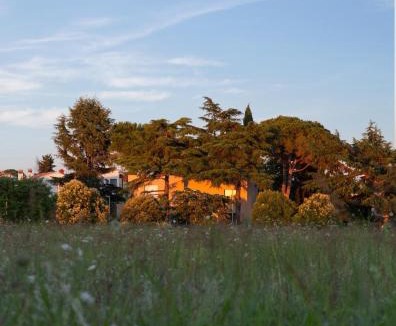 Novigrad Villa | VALDORA - Luxury villa with heated pool
