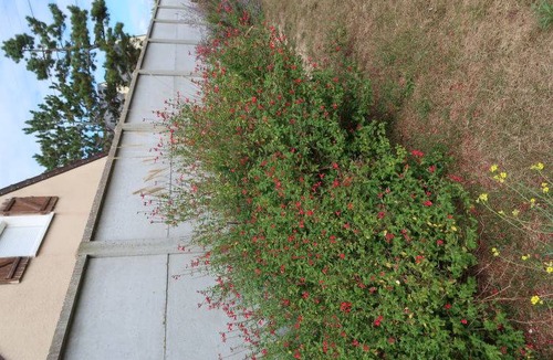 Denneville Apartment | Valentina