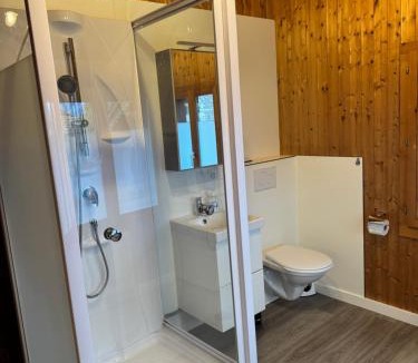 Matten bei Interlaken Apartment | Valley Apartment