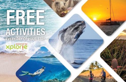 Kahana House | Valley Isle 206 · VI 206 OceanFront Studio w Pool