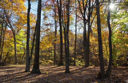 Cuyahoga Falls Other | Valley Overlook