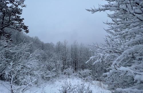 Cuyahoga Falls Other | Valley Overlook