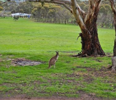 Mintaro House | Valley Retreat