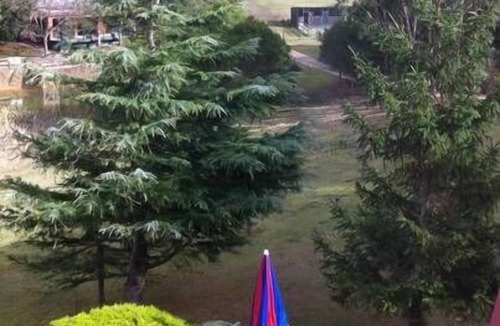 Bellbrae Cottage | Valley View 2BR cottage (No Pets Allowed)