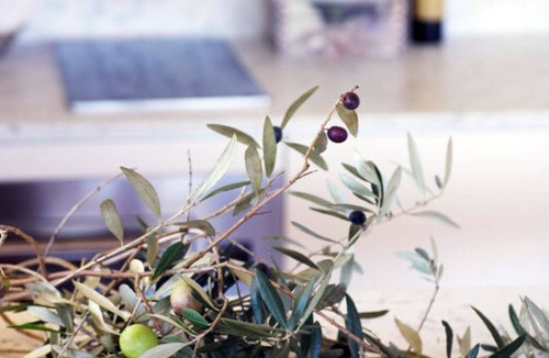 Cessnock City Council House | Valleyfield Escape