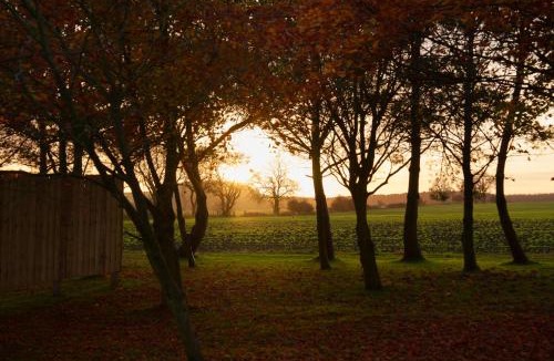 Wall Houses House | Vallum Cabins