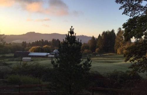 Woodland Apartment | Vancouver WA Beautiful Apartment