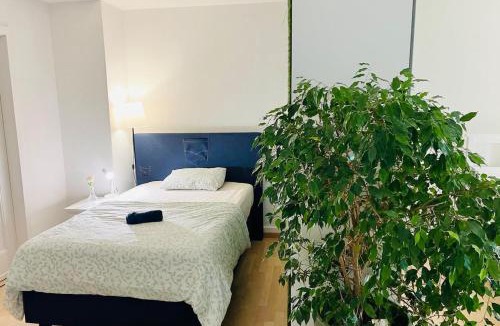 Olten Apartment | Vantage Point 101