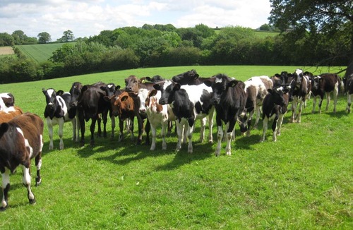 Guilsfield House | Varchoel Hall Guilsfield