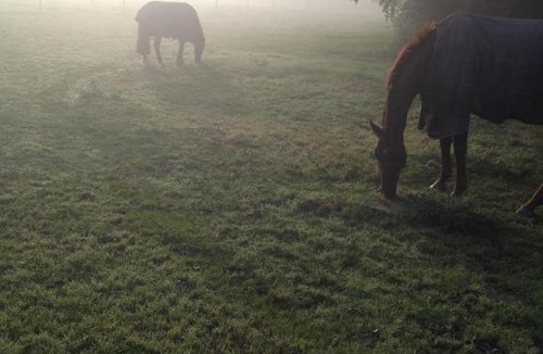 Guilsfield House | Varchoel Hall Guilsfield
