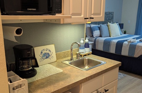 Lutz Condo | Vaulted Studio King Suite, 3rd Floor, Private Lanai - Clothing Optional