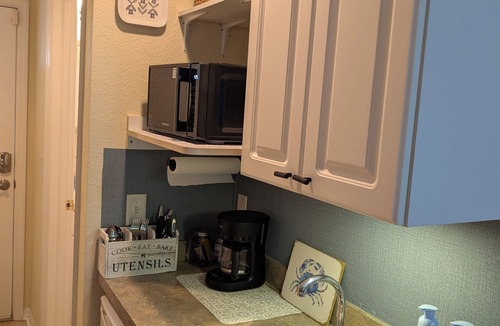 Lutz Condo | Vaulted Studio King Suite, 3rd Floor, Private Lanai - Clothing Optional