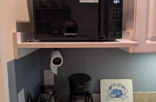 Lutz Condo | Vaulted Studio King Suite, 3rd Floor, Private Lanai - Clothing Optional