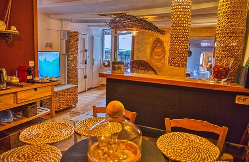 Annecy Old Town Apartment | Vegetal Cocoon in the heart of the city of Annecy