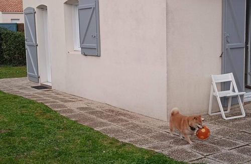 Saint-Vincent-sur-Jard House | Vendée Jard sur Mer 400m from the beach. Bikes available. Small dogs accepted
