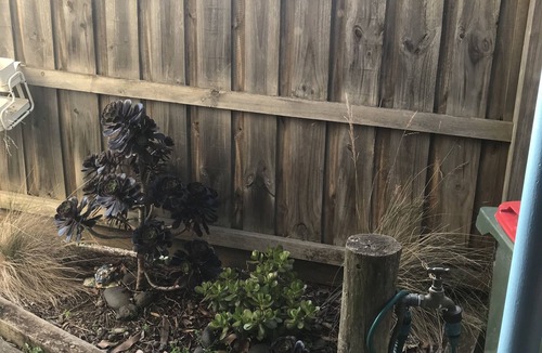 Ventnor Apartment | Ventnor Anchorage Site