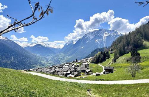 Levron Ski Chalet | Verbier Village Levron 3br chalet large terrace facing south