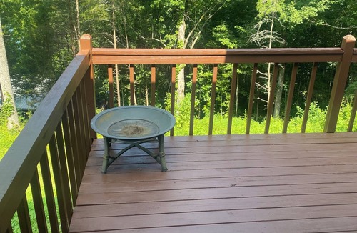 Speedwell House | Very beautiful mountain and lake scenery. Wild life all around