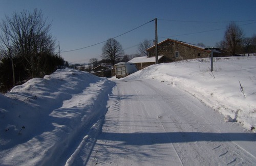Felines House | Very comfortable gîte, accessible to people with reduced mobility
