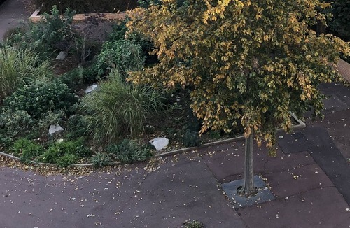 Saint-Germain-en-Laye Apartment | Very nice studio for rent