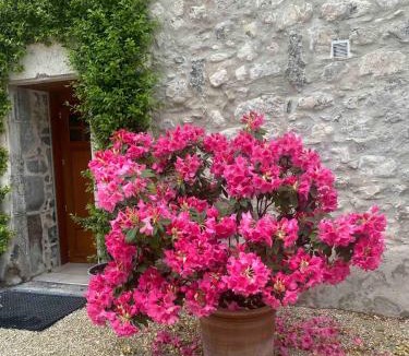 Lumbin Apartment | Very nice studio in a 16th century building