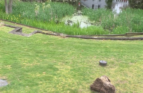 Flanders House | Very Private property between two ponds