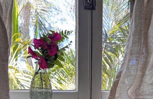 Downtown Apartment | Very tropical, private and peaceful, short walk to everything happening downtown