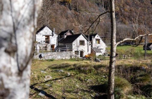 Frasco Ski Chalet | Verzasca Lodge Elma