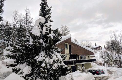 Laax Ski Chalet | Via Valla - Spacious Open-plan and Peaceful Chalet in Salums