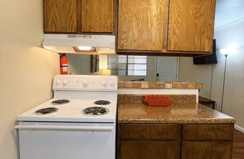 Monahans Apartment | Vibrant 1BR Apartment, Pet-Friendly!