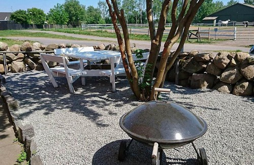 Ronne Apartment | Vibrant Holiday Home in Bornholm with Terrace