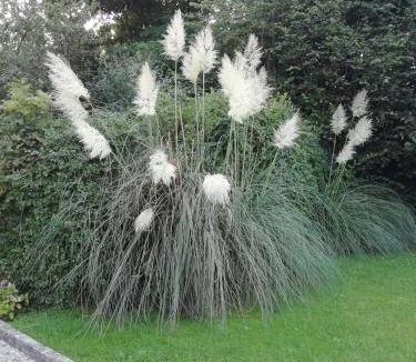 Tracy-sur-Mer Apartment | Victoria