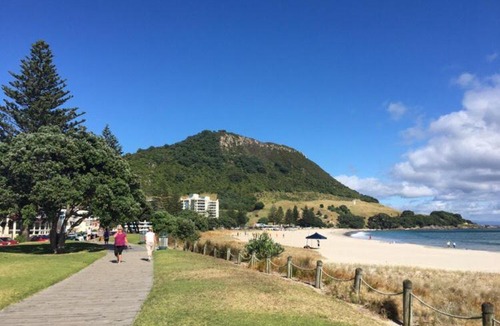 Mount Maunganui Bed & Breakfast | Victoria Road B&B