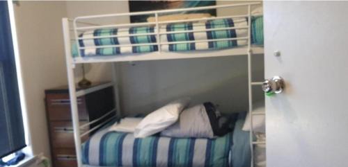 Springvale House | Victoria room