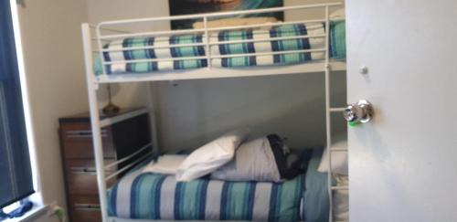 Springvale House | Victoria room