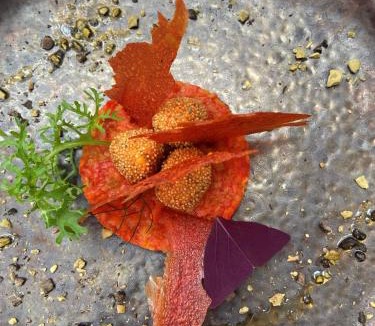 Dalavich Hotel | Victoria Square & The Orangery