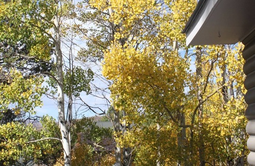 Grand Lake House | View of Lake Granby - LOCATION