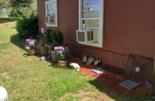 Oldhams Apartment | View Peaceful Pond while lounging in this open studio apartment!