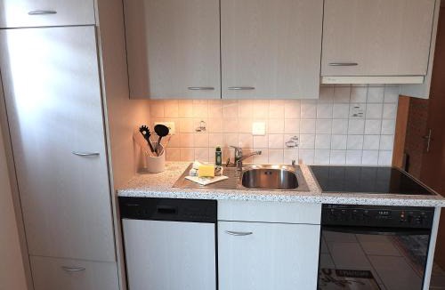 Ringgenberg Apartment | Viewpoint