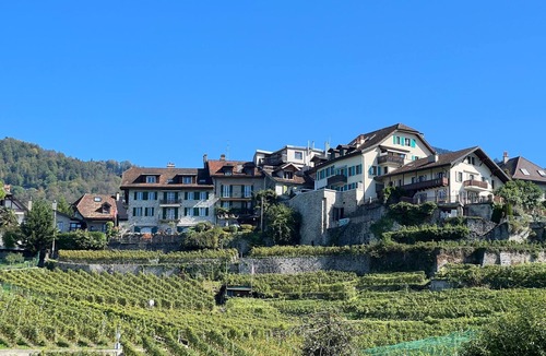 Montreux Apartment | Vigneronne, App. Lac by Interhome