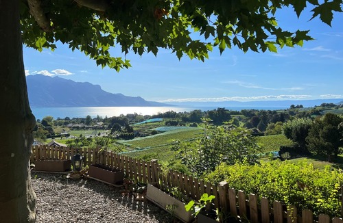 Montreux Apartment | Vigneronne, Vigne by Interhome