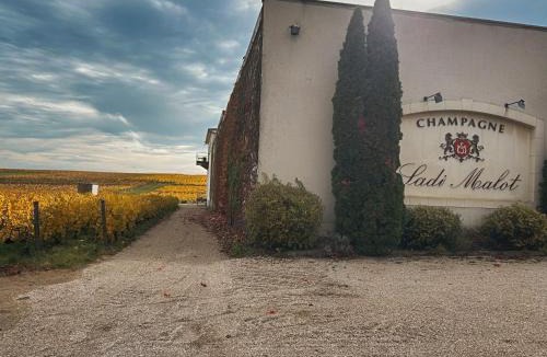 Villers-Marmery Apartment | Vignes au Balcon