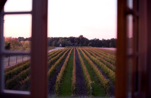 Espiens Cottage | Vignes Cottage - Château de Mazelières