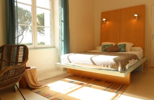 Rochefort-sur-Loire Bed & Breakfast | Vignoble Château Piéguë - winery