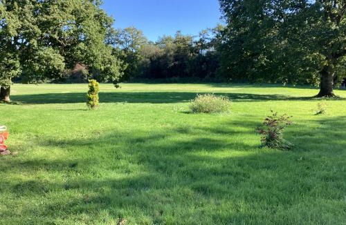 Fairseat Bed & Breakfast | Vigo Retreat cabin 3