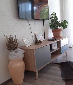 Rijeka Apartment | Vila Brig 108 - private swimming pool and jacuzzi