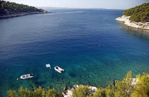 Cove Osibova (Milna) Apartment | Vila Filipovic