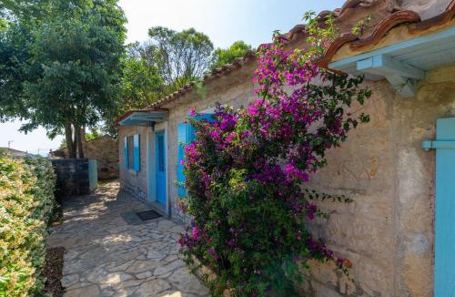 Vabriga House | Vila Majda