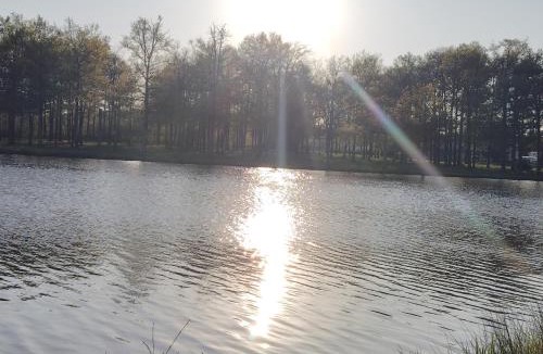 Ambillou House | Villa évasion